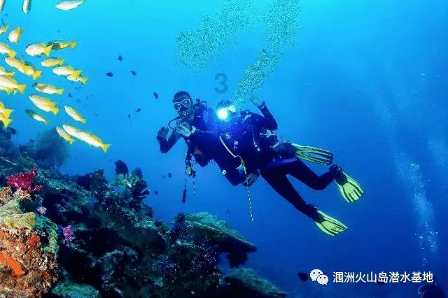 动物帮帮忙保卫家园